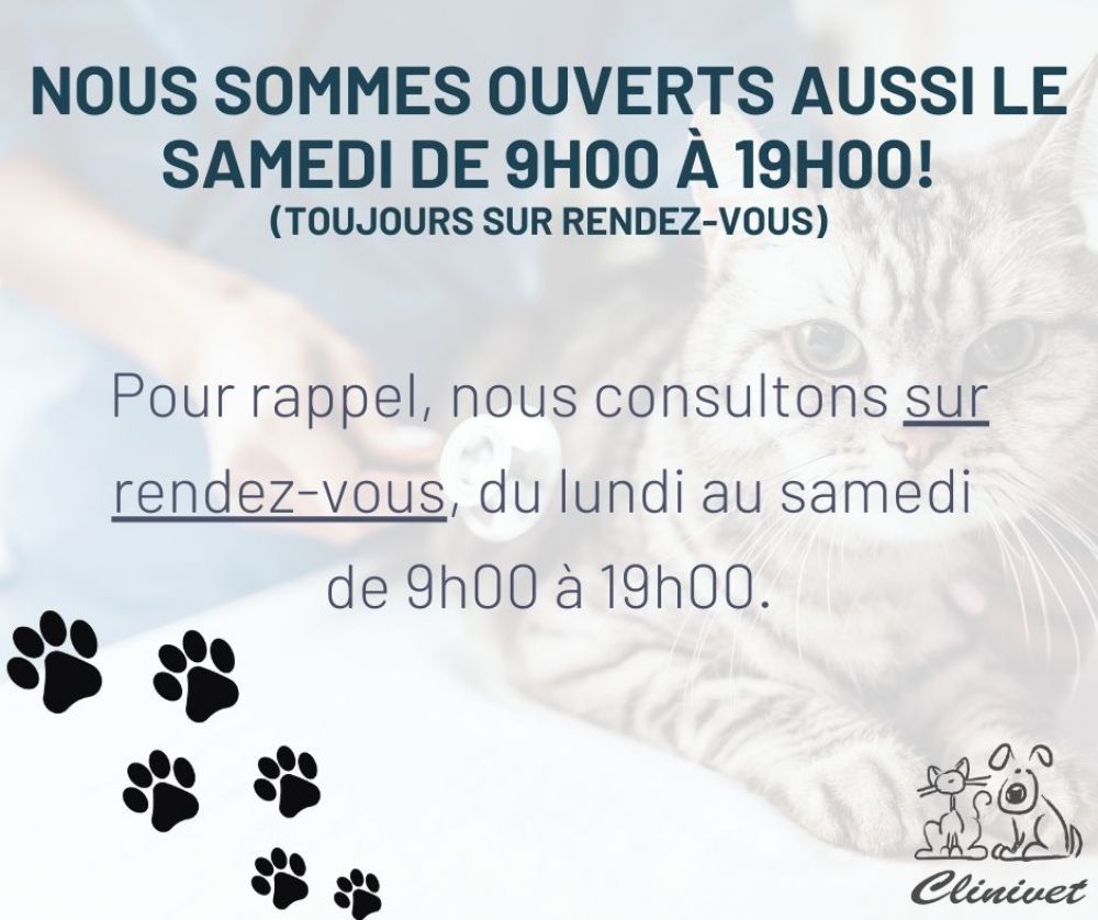 Pour rappel, nous sommes ouverts le samedi de 9h00 à 19h00.