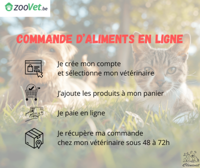 Commande d'aliments en ligne