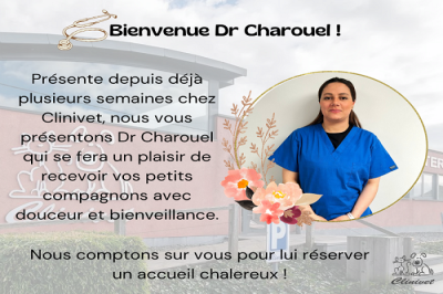 Nouvelle vétérinaire chez Clinivet !