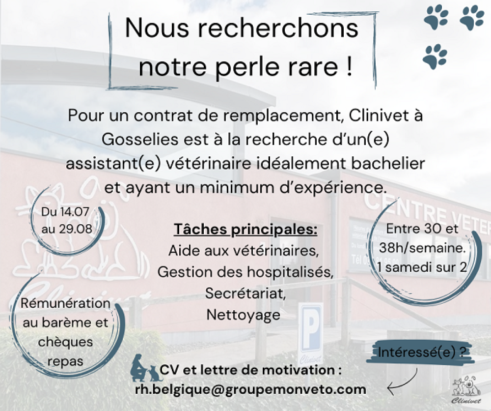 Nous recrutons !