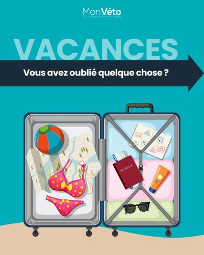 Les indispensables en vacances !