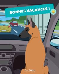 Les indispensables en vacances !