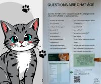 Octobre : le mois du chat senior !