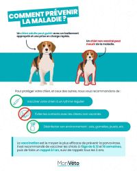 La parvovirose 