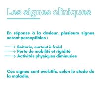 Focus sur l'arthrose !