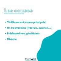 Focus sur l'arthrose !