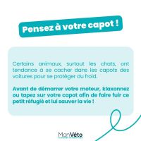 Protéger son animal du froid