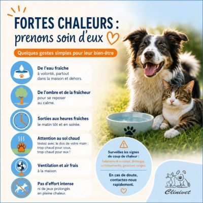 Fortes chaleurs
