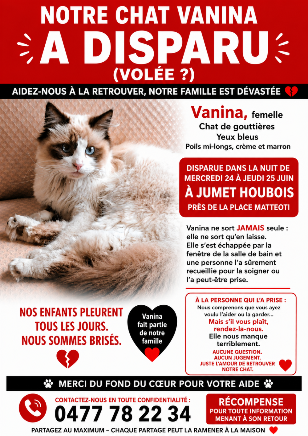 Chatte Vanina disparue