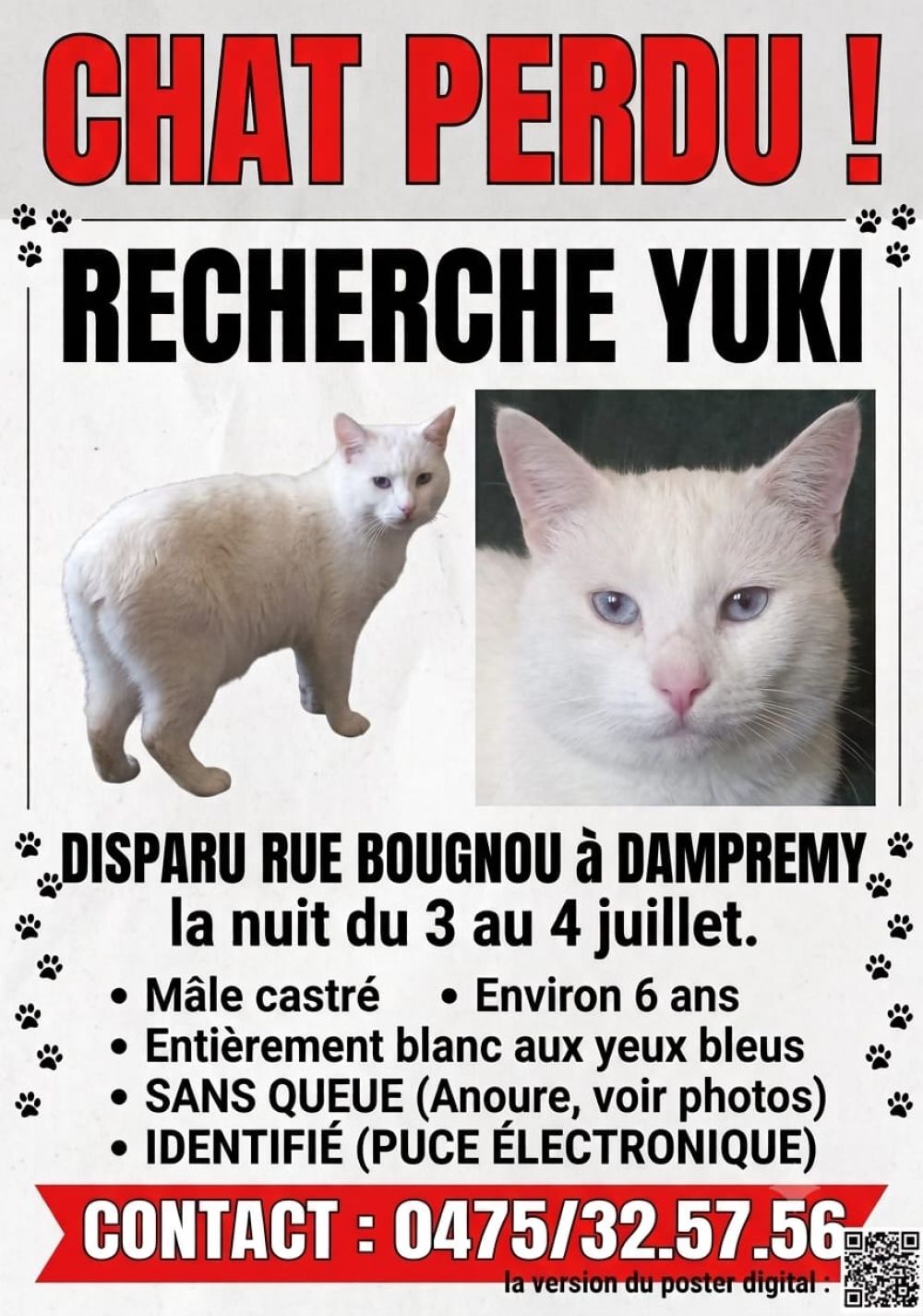 Chat disparu : YUKI