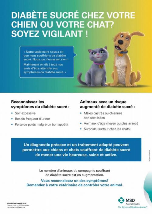 Diabète chez le chien et le chat