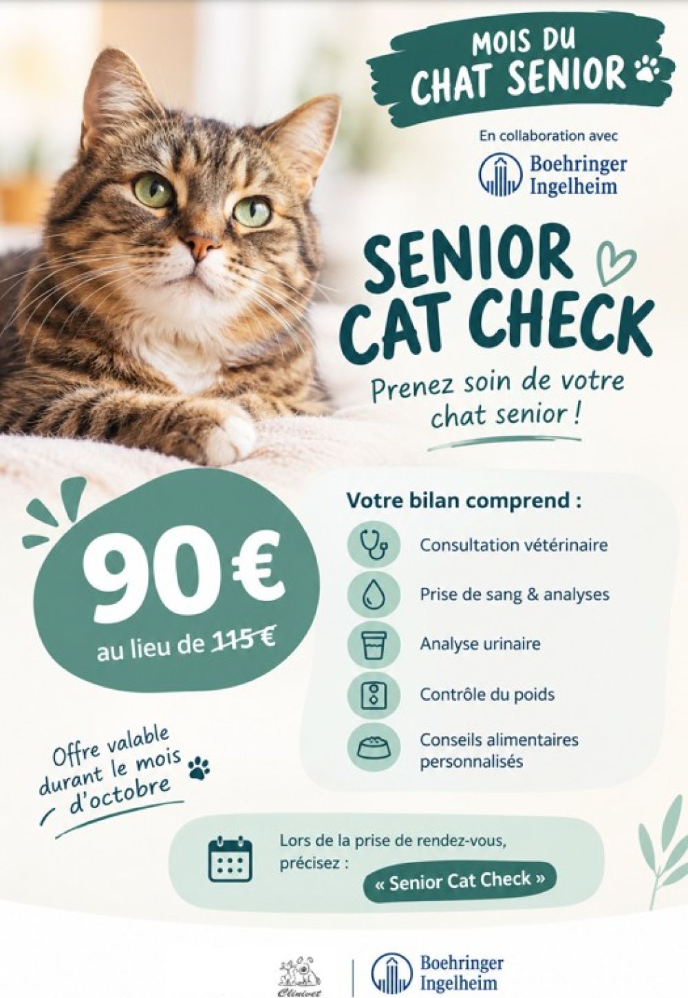 Senior Cat Check