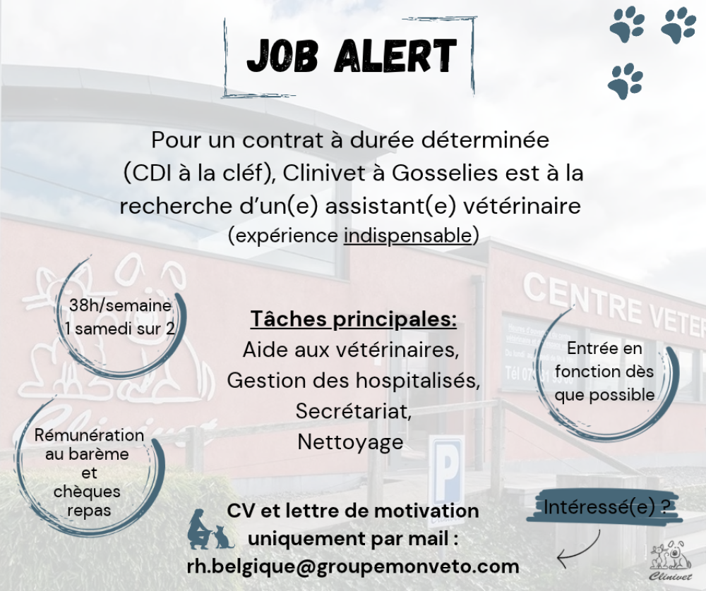 Clinivet recrute !