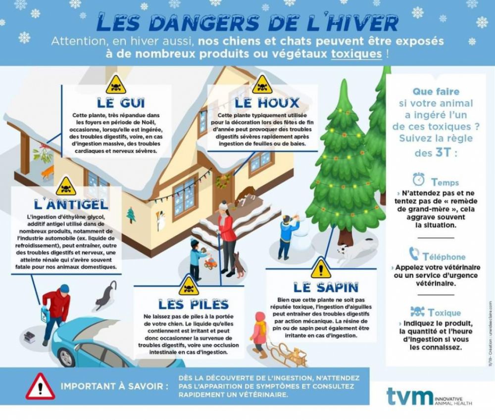 Attention aux dangers de l'hiver !