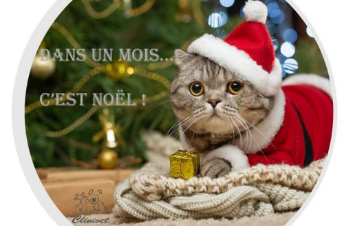 Bientôt Noël !