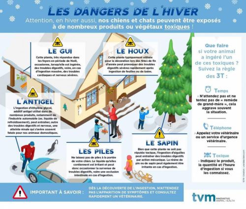 Les dangers de l'hiver