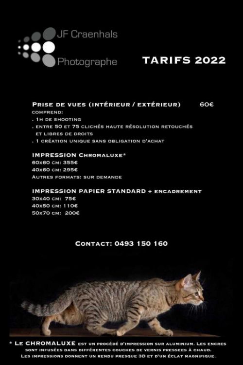 Photographe - Tarifs 2022